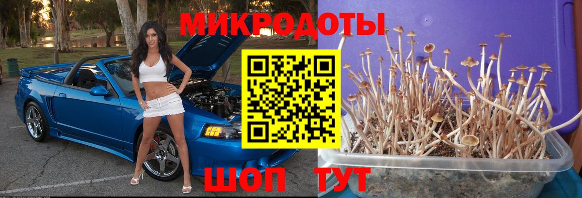купить наркоту  Галлюциногенные грибы мухоморы  Галлюциногенные грибы Cubensis  Вход с VPN  Шатура 